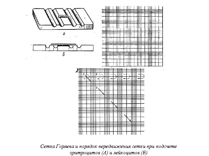 Камера горяева схема