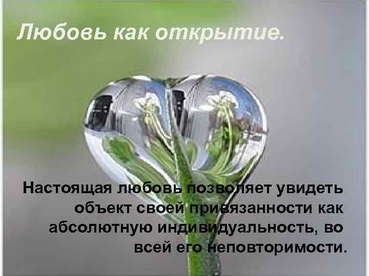 Любовь как открытие. Настоящая любовь позволяет увидеть объект своей привязанности как абсолютную индивидуальность, во