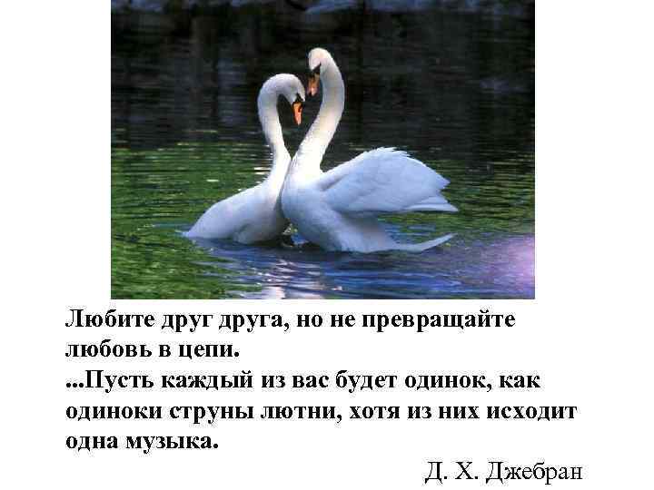 Любите друга, но не превращайте любовь в цепи. . Пусть каждый из вас будет