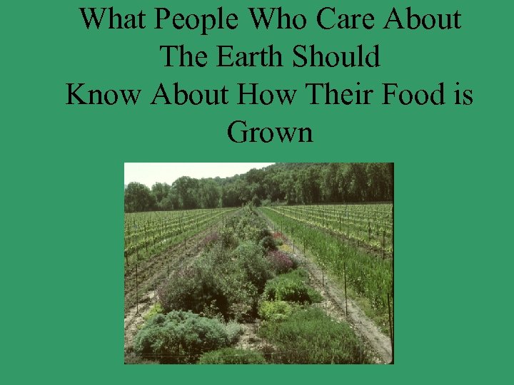 What People Who Care About The Earth Should Know About How Their Food is