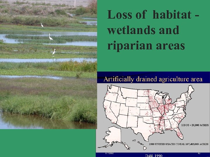 Loss of habitat - wetlands and riparian areas 