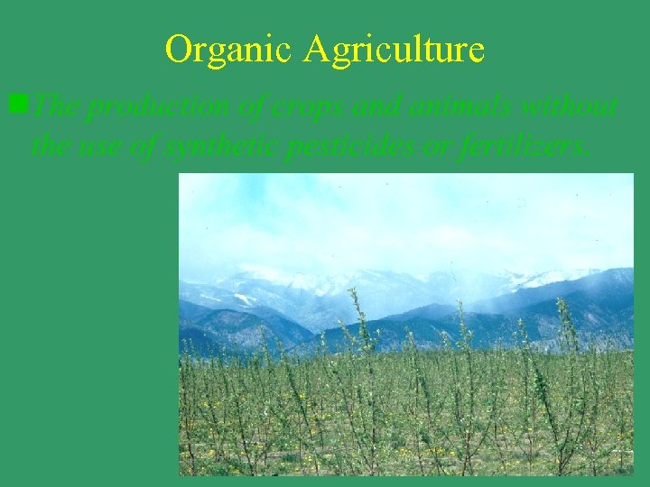 Organic Agriculture n. The production of crops and animals without the use of synthetic