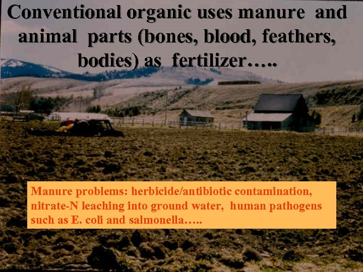 Conventional organic uses manure and animal parts (bones, blood, feathers, bodies) as fertilizer…. .