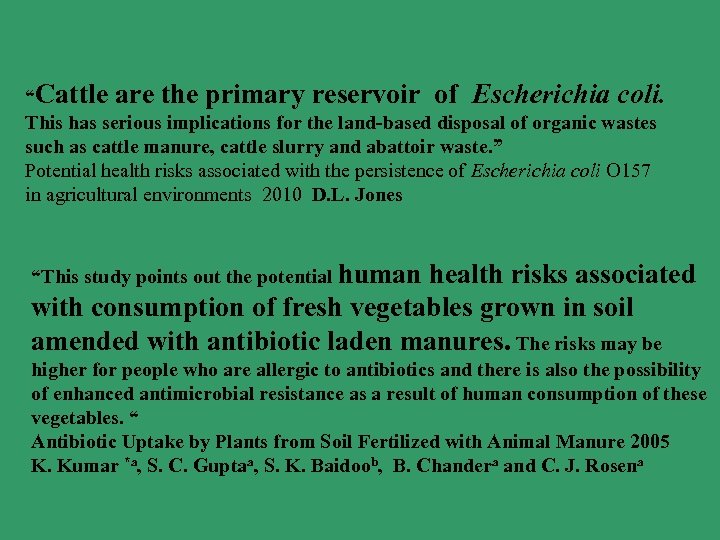 “Cattle are the primary reservoir of Escherichia coli. This has serious implications for the