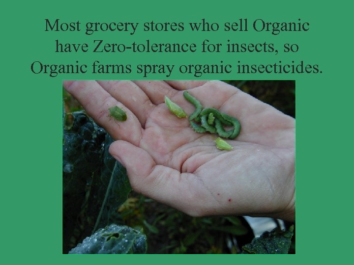 Most grocery stores who sell Organic have Zero-tolerance for insects, so Organic farms spray