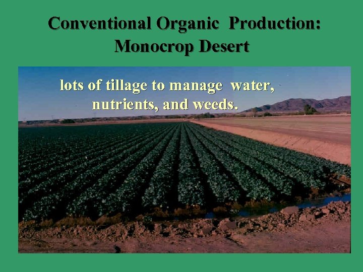  Conventional Organic Production: Monocrop Desert lots of tillage to manage water, nutrients, and