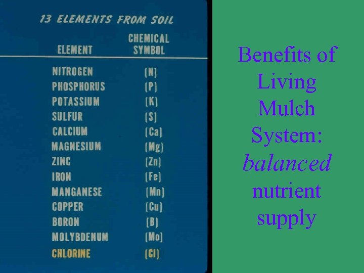 Benefits of Living Mulch System: balanced nutrient supply 