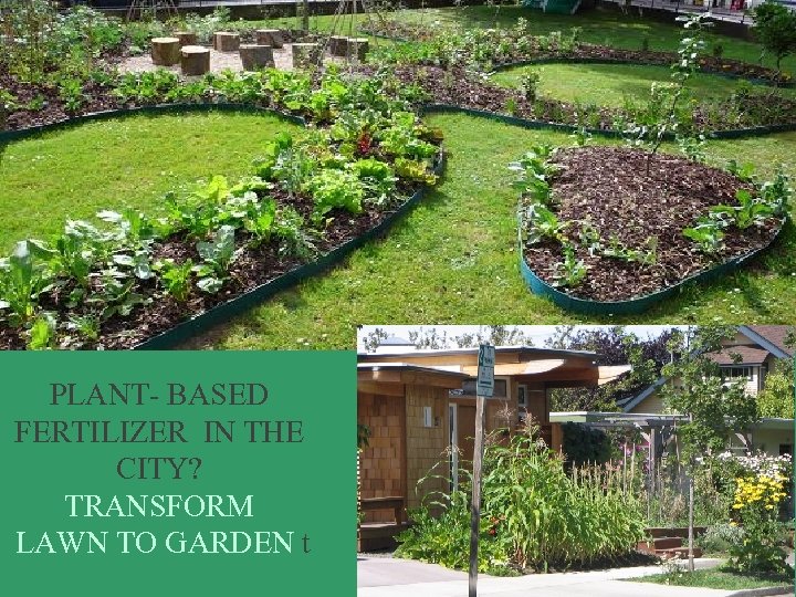 PLANT- BASED FERTILIZER IN THE CITY? TRANSFORM LAWN TO GARDEN t 