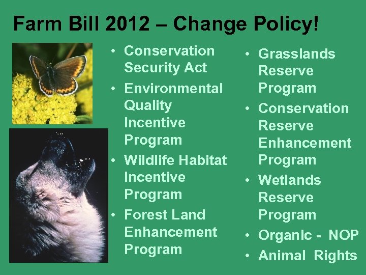 Farm Bill 2012 – Change Policy! • Conservation Security Act • Environmental Quality Incentive