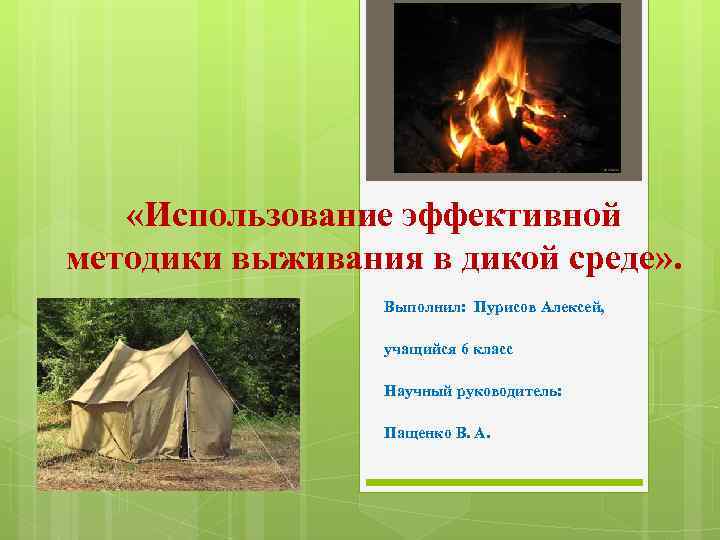  «Использование эффективной методики выживания в дикой среде» . Выполнил: Пурисов Алексей, учащийся 6
