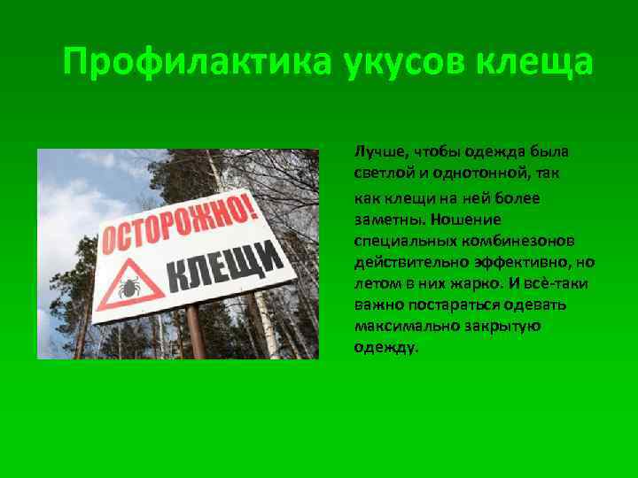 Профилактика укусов клеща Лучше, чтобы одежда была светлой и однотонной, так клещи на ней