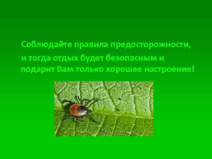 Соблюдайте правила предосторожности, и тогда отдых будет безопасным и подарит Вам только хорошее настроение!