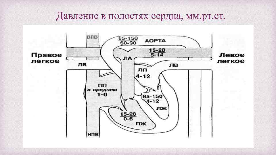 Давление в полостях сердца в норме. Давление в камерах сердца в норме. Давление в камерах сердца. Давление в полостях сердца в мм. РТ. Ст..