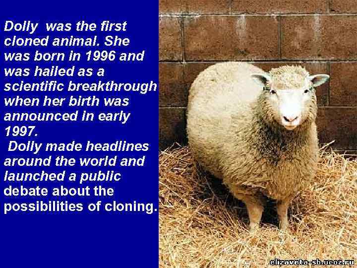 Dolly was the first cloned animal. She was born in 1996 and was hailed