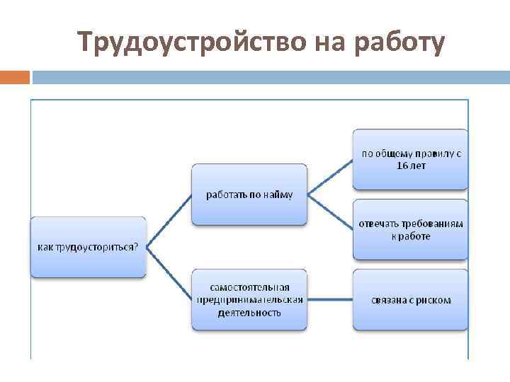 План занятость и трудоустройство