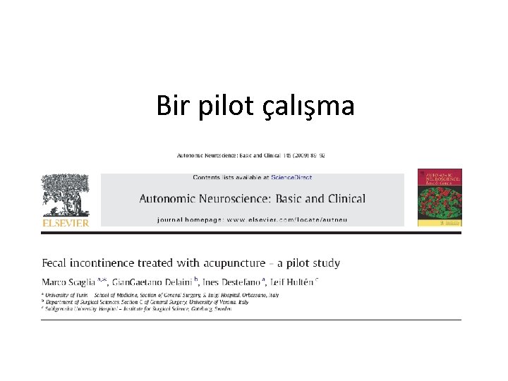 Bir pilot çalışma 