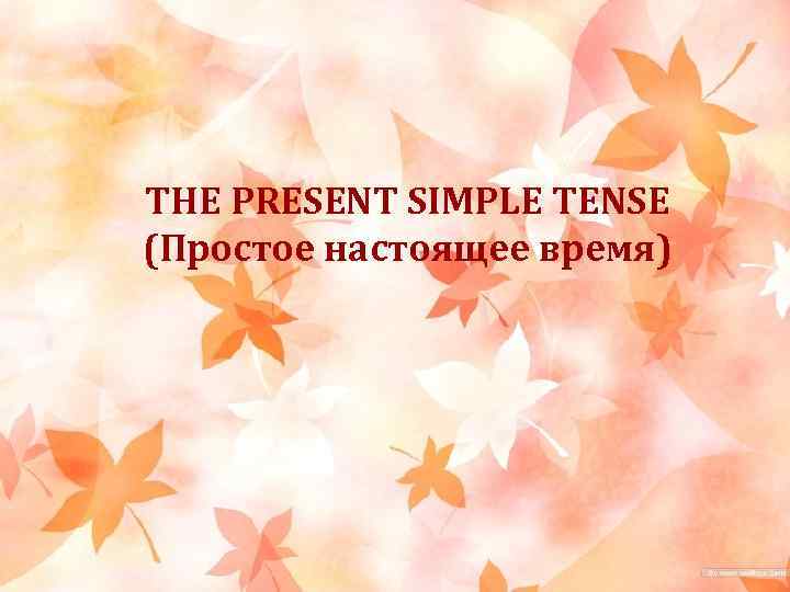 THE PRESENT SIMPLE TENSE (Простое настоящее время) 