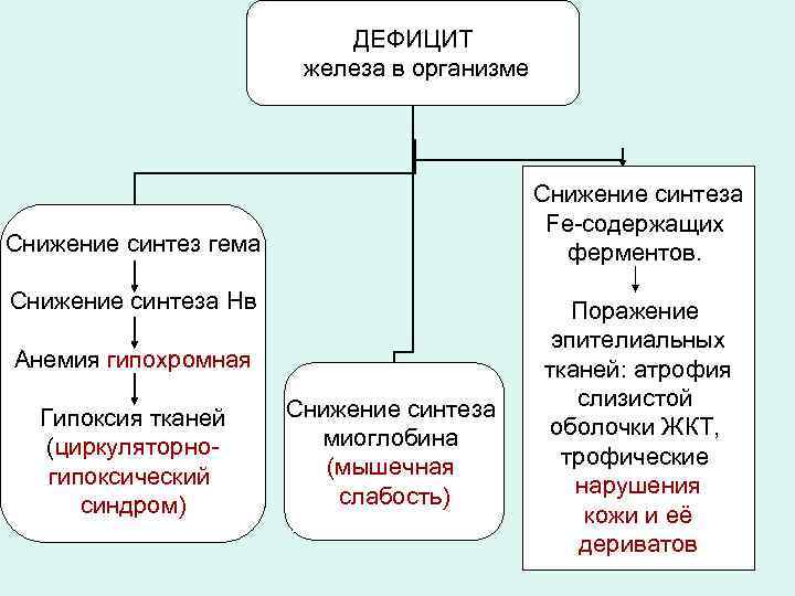 ДЕФИЦИТ железа в организме Снижение синтеза Fe-содержащих ферментов. Снижение синтез гема Снижение синтеза Нв