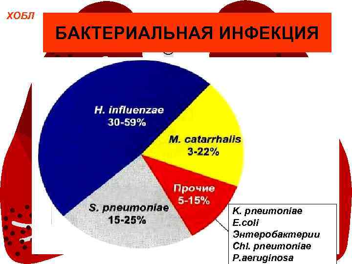 ХОБЛ БАКТЕРИАЛЬНАЯ ИНФЕКЦИЯ K. pneumoniae E. coli Энтеробактерии Chl. pneumoniae P. aeruginosa 