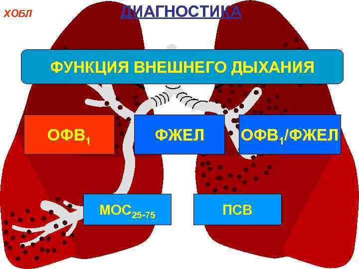 ДИАГНОСТИКА ХОБЛ ФУНКЦИЯ ВНЕШНЕГО ДЫХАНИЯ ОФВ 1 ФЖЕЛ МОС 25 -75 ОФВ 1/ФЖЕЛ ПСВ