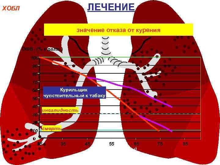 ЛЕЧЕНИЕ ХОБЛ значение отказа от курения ОФВ 1 (% к долж. ) 100 90