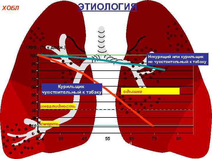 ЭТИОЛОГИЯ ХОБЛ ОФВ 1 (% к долж. ) 100 Некурящий или курильщик не чувствительный