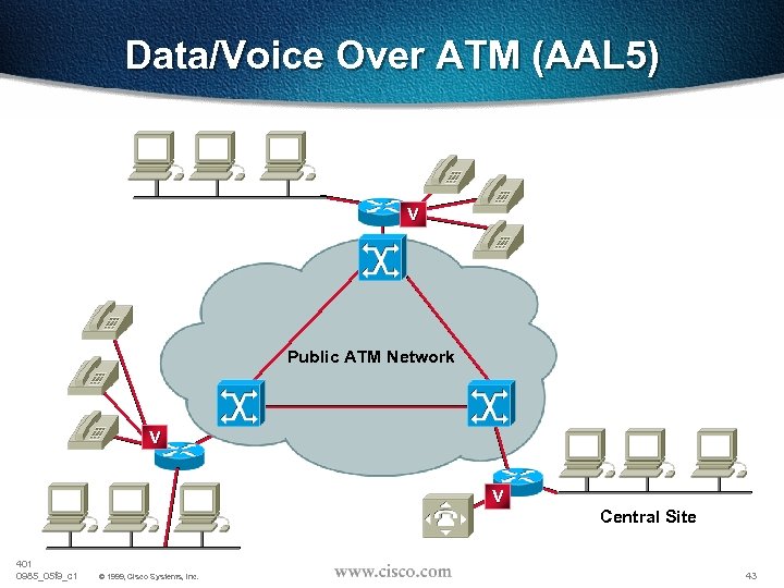 Data/Voice Over ATM (AAL 5) V Public ATM Network V V 401 0985_05 f