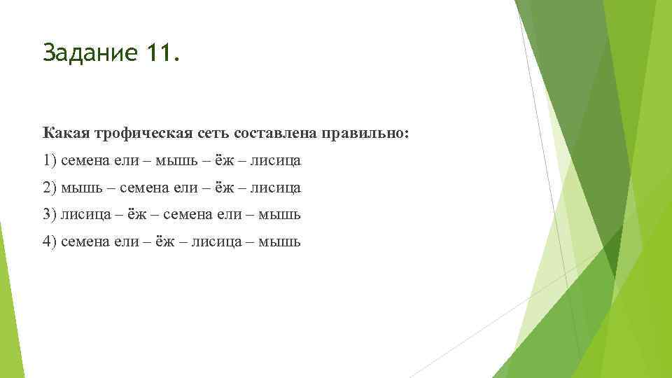 Задание 11. Какая трофическая сеть составлена правильно: 1) семена ели – мышь – ёж