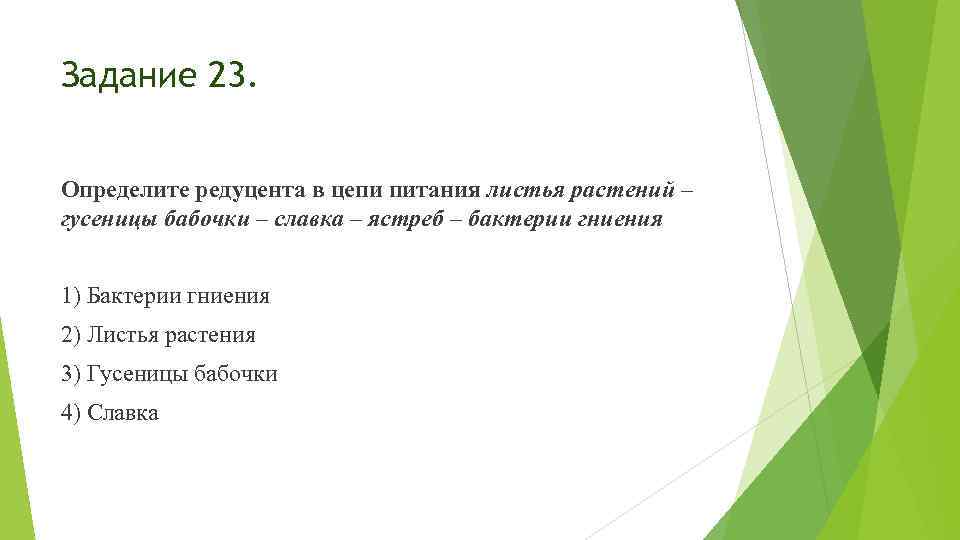 Задание 23. Определите редуцента в цепи питания листья растений – гусеницы бабочки – славка