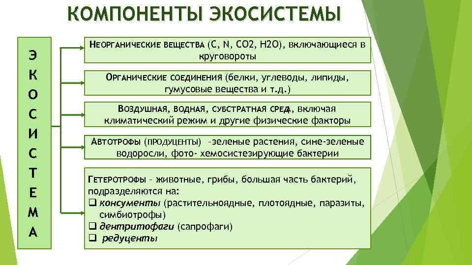 КОМПОНЕНТЫ ЭКОСИСТЕМЫ Э К О С И С Т Е М А НЕОРГАНИЧЕСКИЕ ВЕЩЕСТВА