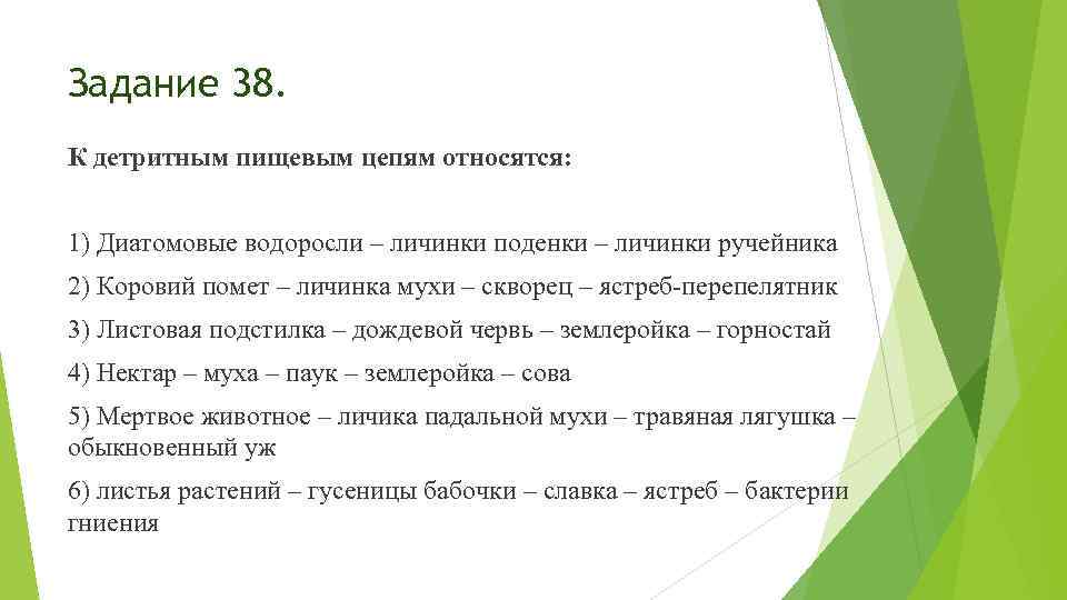 Задание 38. К детритным пищевым цепям относятся: 1) Диатомовые водоросли – личинки поденки –