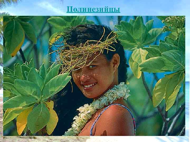 Полинезийцы 