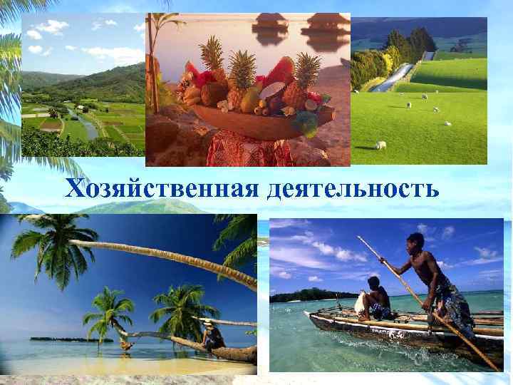 Хозяйственная деятельность 