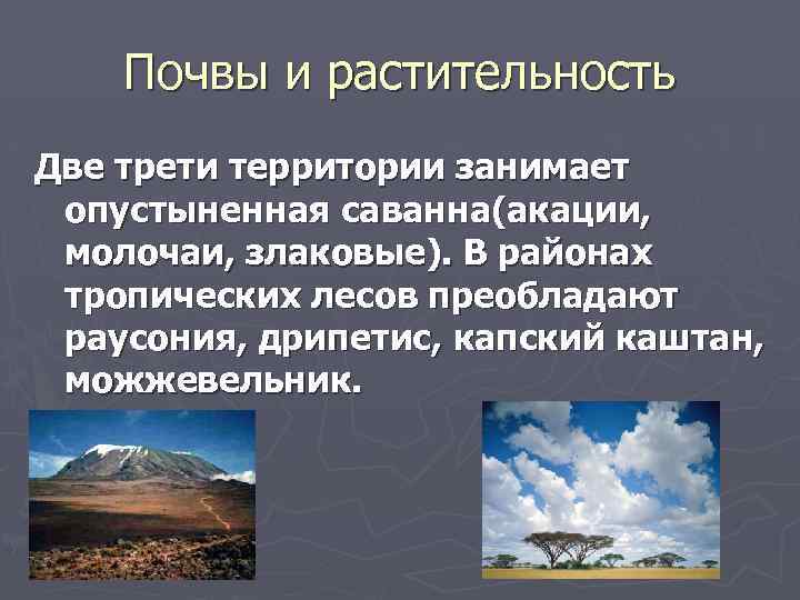 Почвы и растительность Две трети территории занимает опустыненная саванна(акации, молочаи, злаковые). В районах тропических