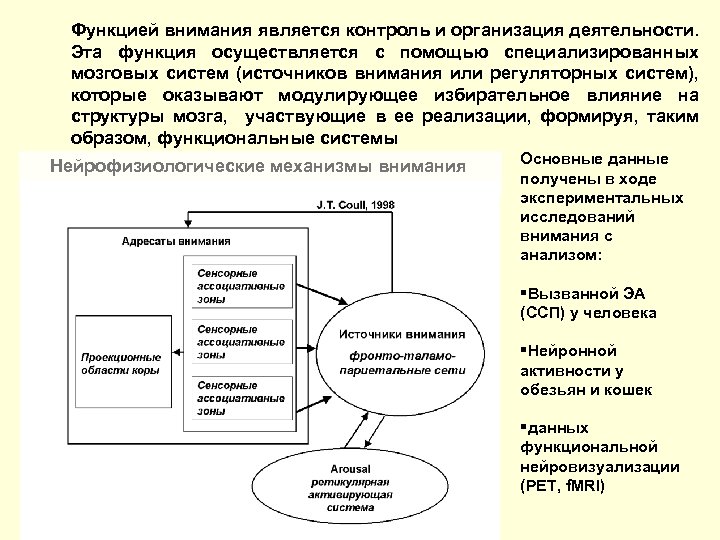 Функцией внимания является контроль и организация деятельности. Эта функция осуществляется с помощью специализированных мозговых