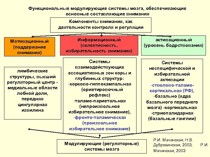 Функциональные модулирующие системы мозга, обеспечивающие основные составляющие внимания Компоненты внимания, как деятельности контроля и