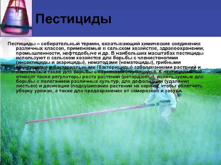 Пестициды – собирательный термин, охватывающий химические соединения различных классов, применяемые в сельском хозяйстве, здравоохранении,