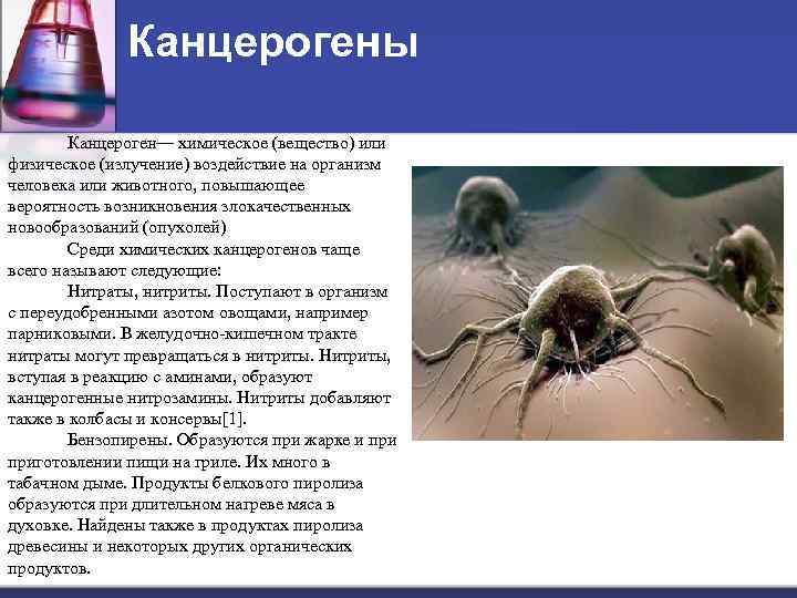 Канцерогены Канцероген— химическое (вещество) или физическое (излучение) воздействие на организм человека или животного, повышающее