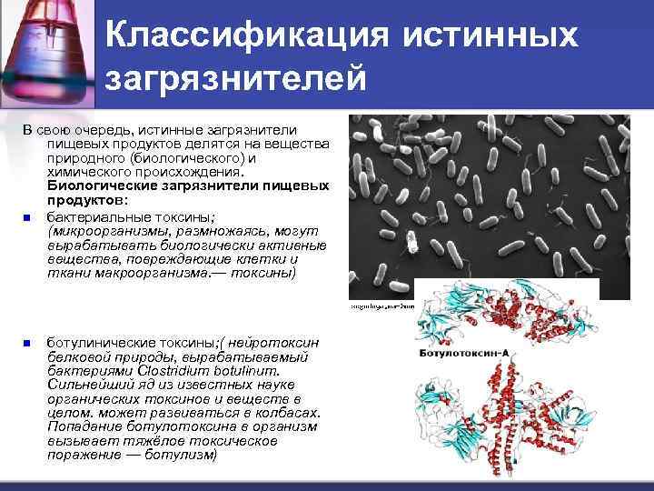 Источники загрязнения пищевых продуктов презентация