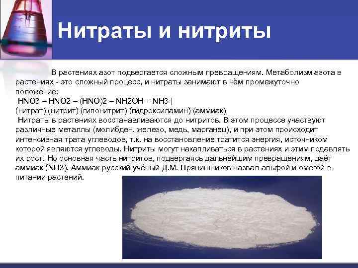 Нитраты и нитриты В растениях азот подвергается сложным превращениям. Метаболизм азота в растениях -