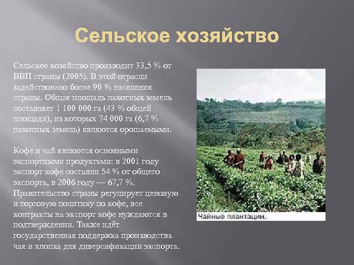 Сельское хозяйство производит 33, 5 % от ВВП страны (2005). В этой отрасли задействовано