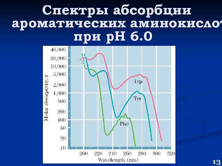 Спектры абсорбции ароматических аминокислот при р. Н 6. 0 13 