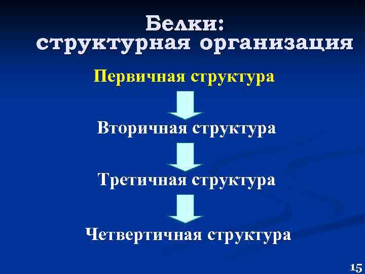 Белки: структурная организация Первичная структура Вторичная структура Третичная структура Четвертичная структура 15 