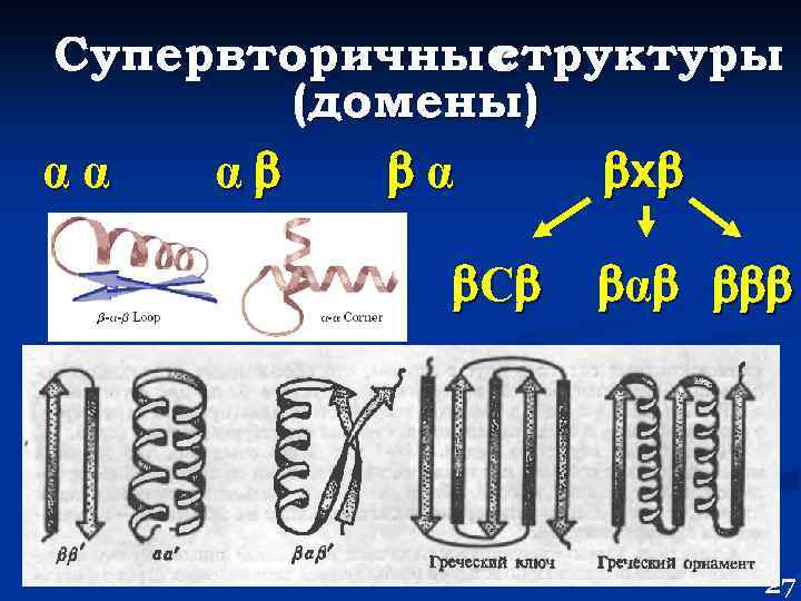 Супервторичные структуры (домены) αα α α х С α 27 