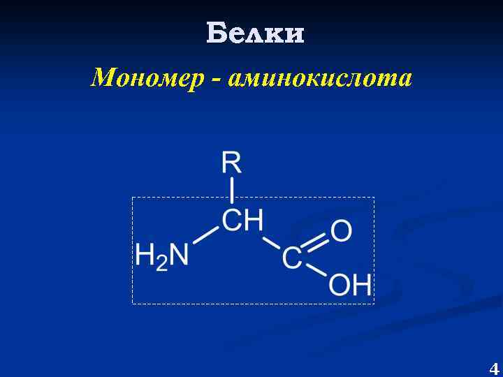 Мономеры белков нуклеотиды аминокислоты. Мономеры аминокислоты. Мономеры белков. Мономер белка. Белки химическое строение мономера.