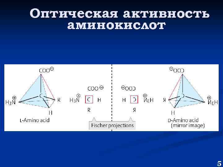 Оптическая активность аминокислот 5 