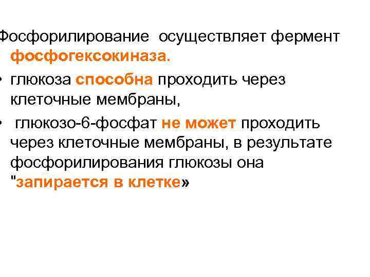 Фосфорилирование осуществляет фермент фосфогексокиназа. • глюкоза способна проходить через клеточные мембраны, • глюкозо-6 -фосфат
