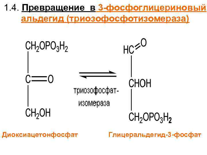 1. 4. Превращение в 3 -фосфоглицериновый альдегид (триозофосфотизомераза) Диоксиацетонфосфат Глицеральдегид-3 -фосфат 