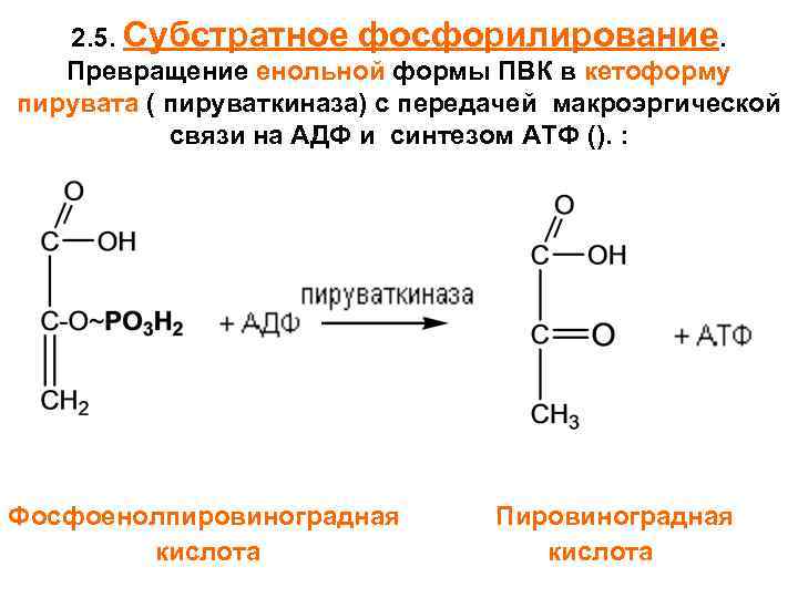Пвк образуется в результате. 2 Фосфоенолпировиноградная кислота. Пируват это пировиноградная кислота. Пировиноградная (2-оксопропановая). ПВК пировиноградная кислота.