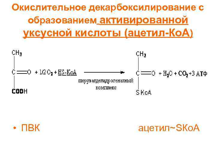 Окислительное декарбоксилирование с образованием активированной уксусной кислоты (ацетил-Ко. А) • ПВК ацетил~SКо. А 